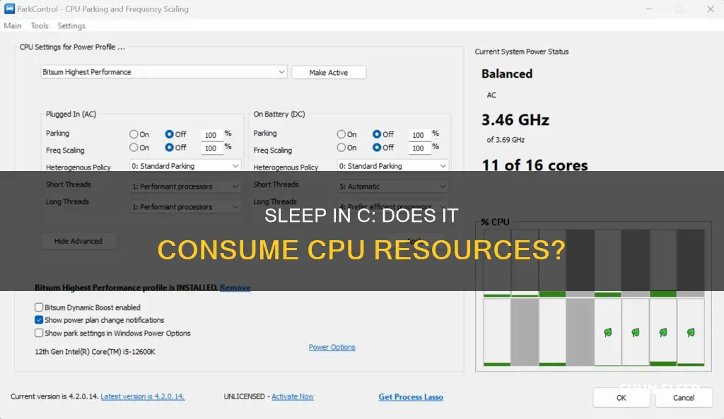 does sleep in c use cpu resources