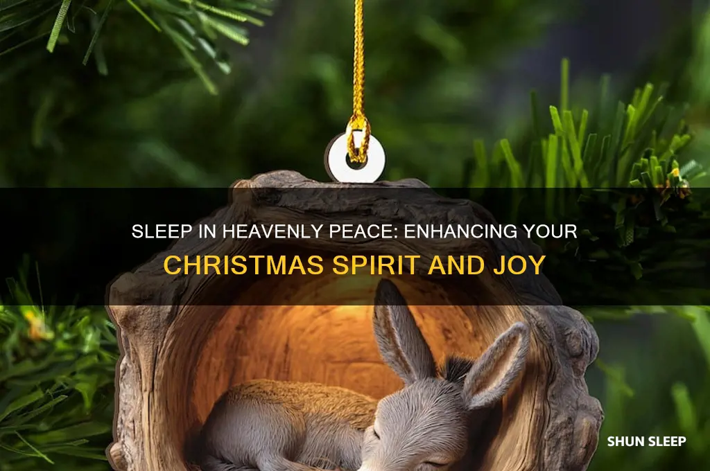 does sleep in heavenly peace help with christmas