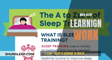 Exploring Sleep Learning: Does It Really Work?