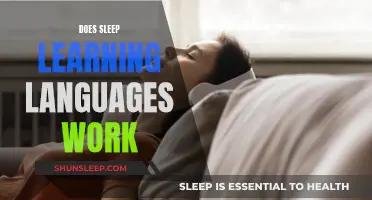 Sleep Learning Languages: Effective or a Myth?