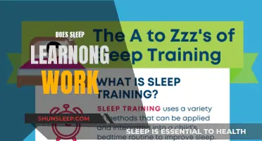 Sleep Learning: Effective Education While You Snooze?