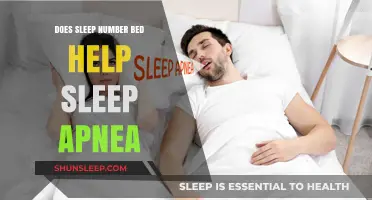 Can Sleep Number Beds Improve Sleep Apnea Symptoms? Expert Insights