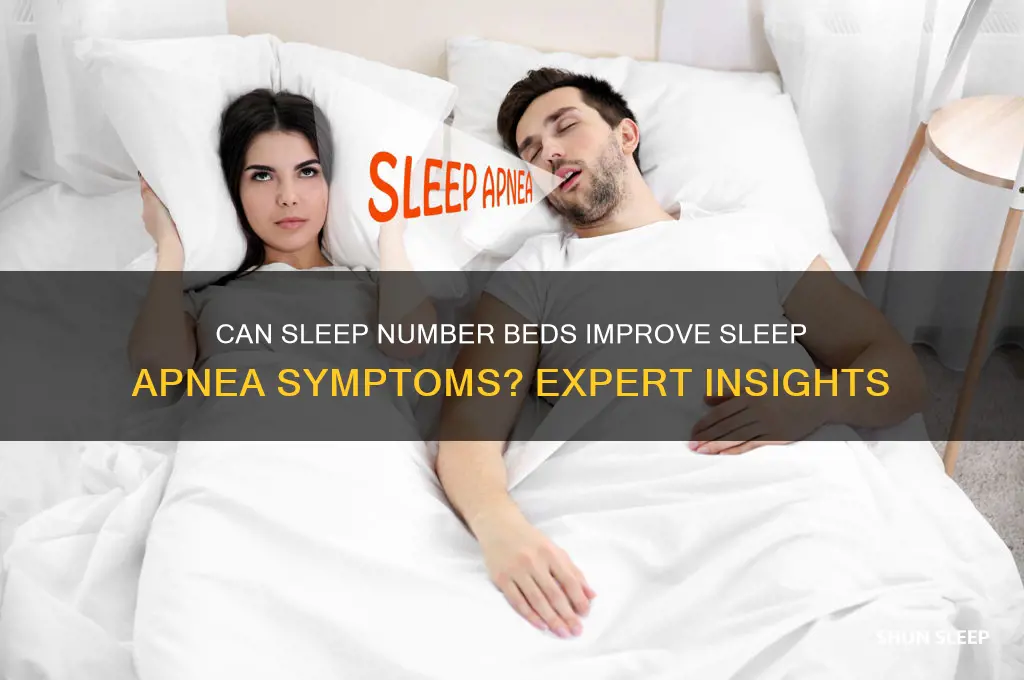 does sleep number bed help sleep apnea