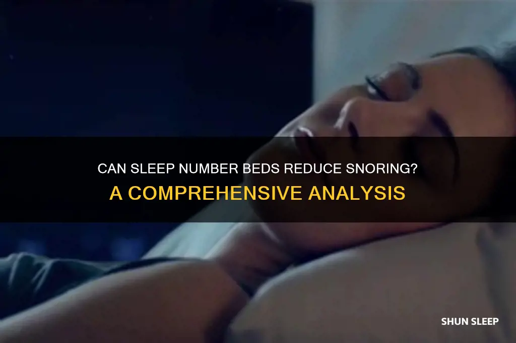 does sleep number bed help with snoring