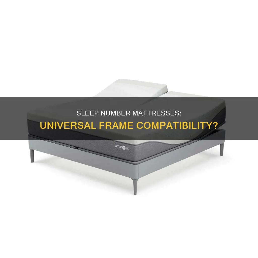 does sleep number matress work on any frame