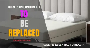 Sleep Number Mattress: When to Replace It?