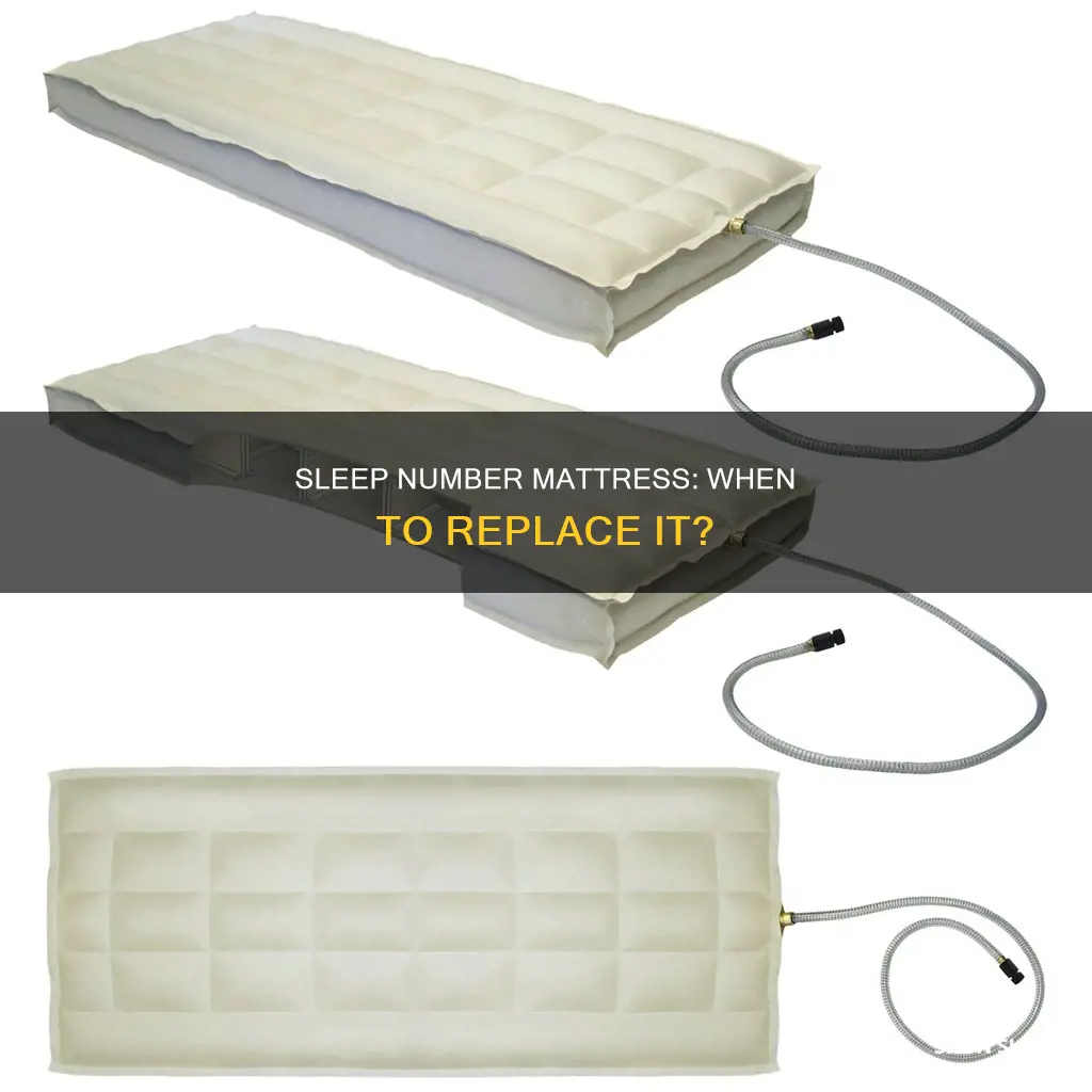 does sleep number mattress need to be replaced