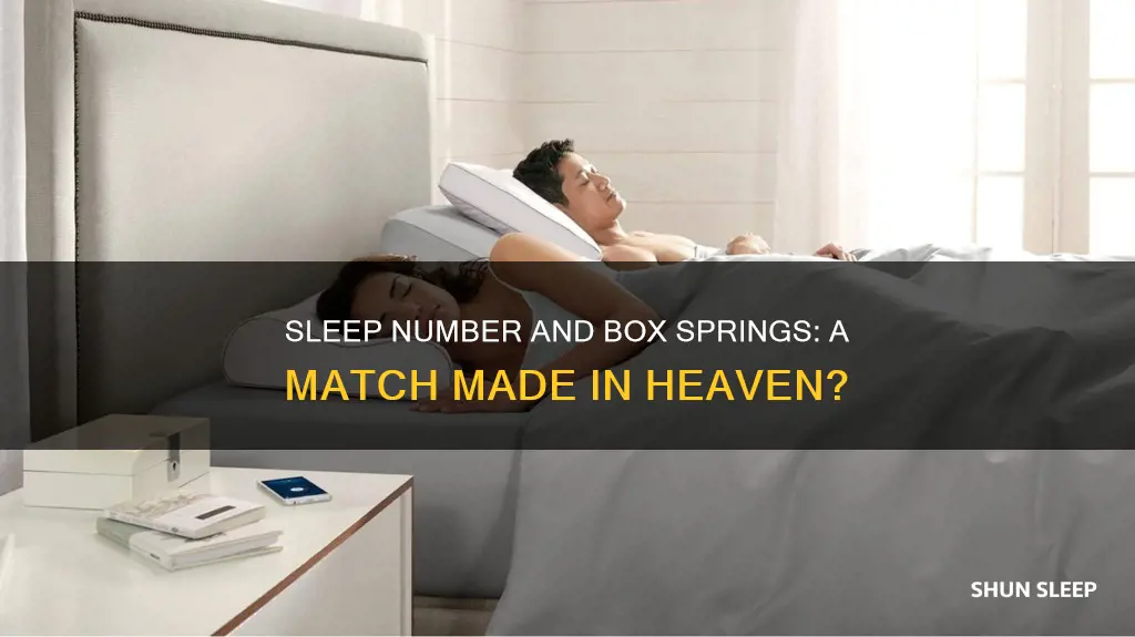 does sleep number need box spring