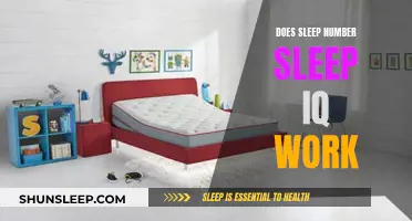Sleep Number Sleep IQ: Does It Work?