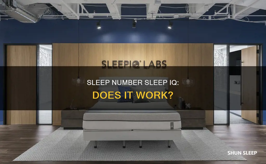 does sleep number sleep iq work