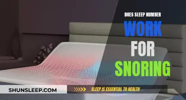 Sleep Number Bed: A Solution to Snoring?