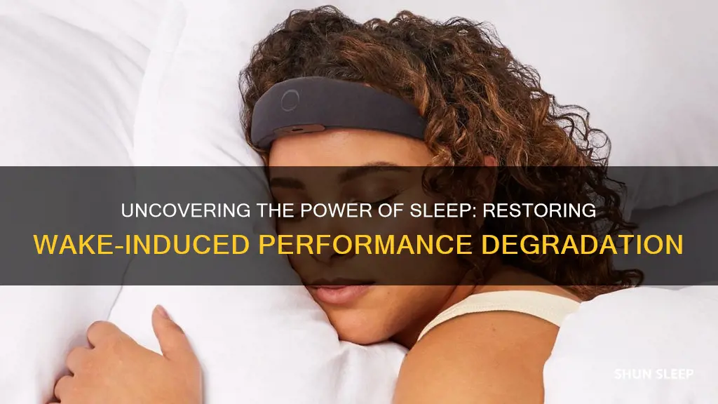 does sleep restore wake induced performance degredation