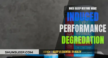 Sleep's Healing Power: Reversing Wake-Induced Performance Degradation