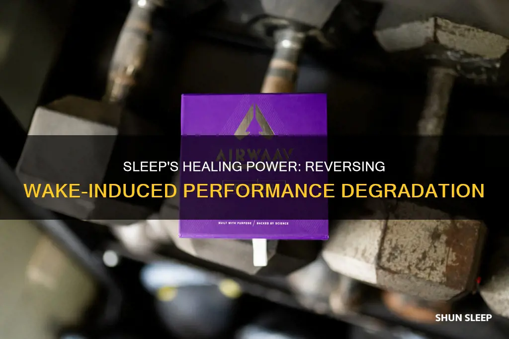 does sleep restore wake induced performance degredation