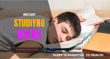 Sleep Study Success: Does It Really Work?