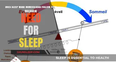 Sleep-Wake Homeostasis: Biological Sleep Needs and Balancing Act