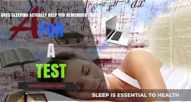 Sleep and Memory: How Rest Enhances Test Recall Effectively