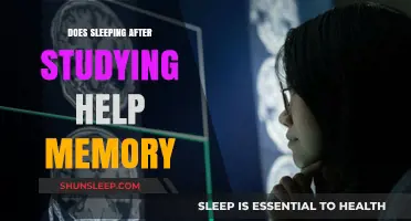 Boost Your Memory: The Science Behind Sleeping After Studying