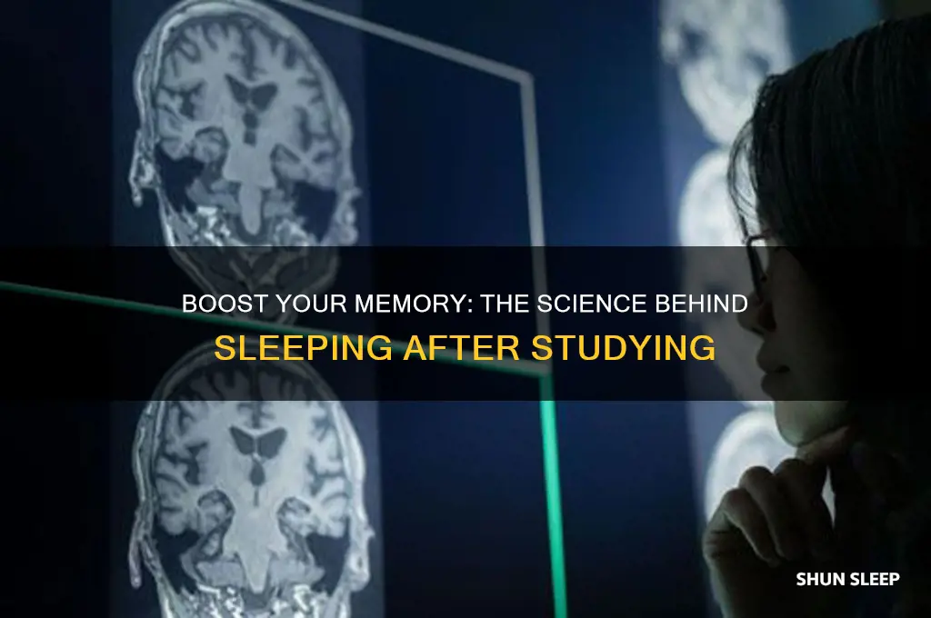 does sleeping after studying help memory