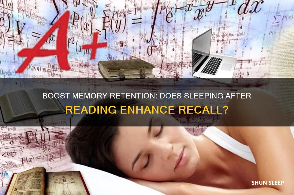 does sleeping after you read help you remember something