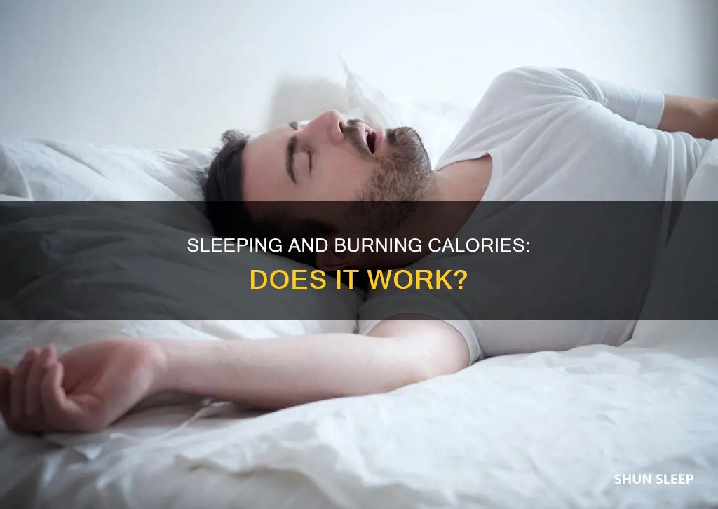 does sleeping all day burn calories