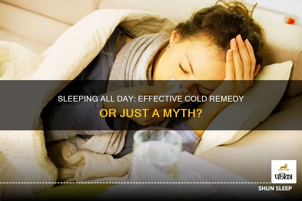does sleeping all day help a cold
