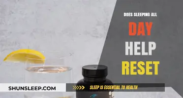 Sleeping All Day: Can It Truly Reset Your Mind and Body?