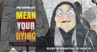 Sleeping Excessively: A Sign of Imminent Death?