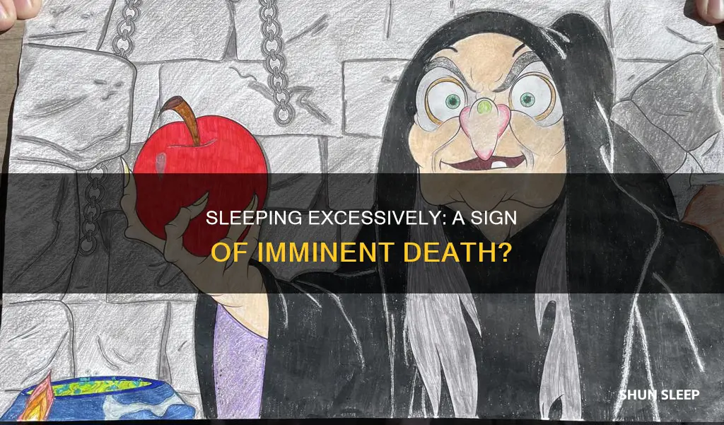 does sleeping alot mean your dying