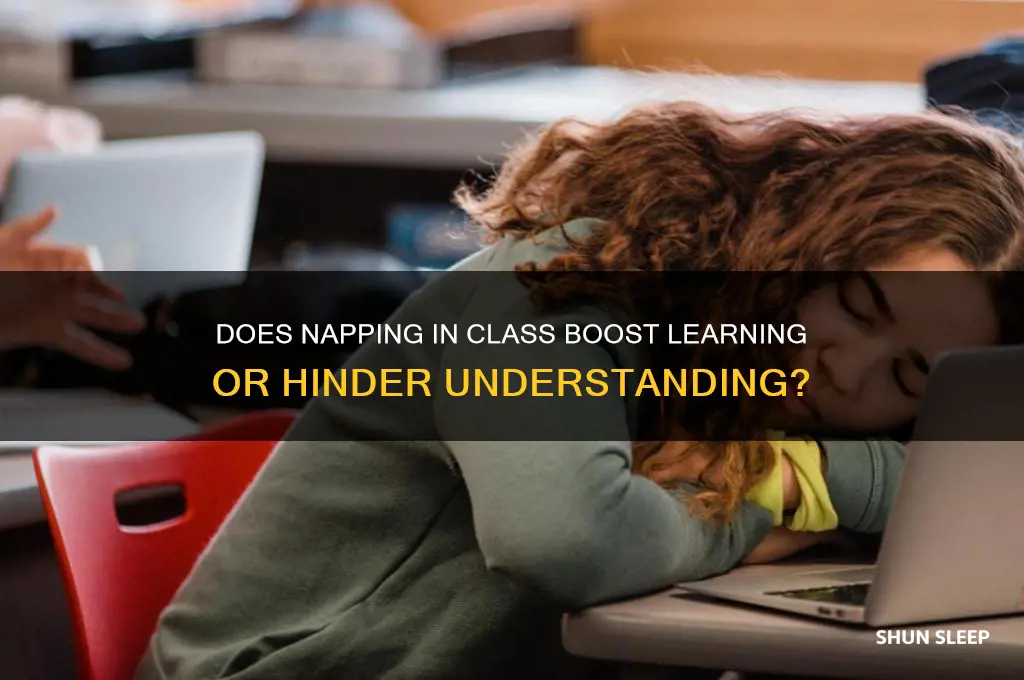 does sleeping during class help understand the material