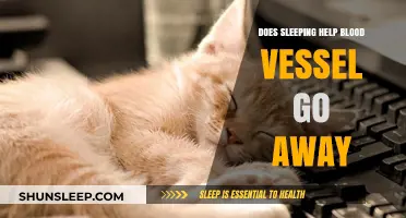 Can Sleep Reduce Blood Vessel Visibility? Exploring the Connection