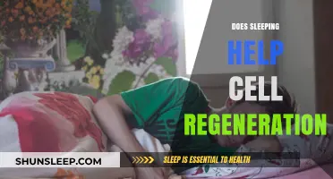Sleep's Role in Boosting Cell Regeneration: Unlocking Healing Potential