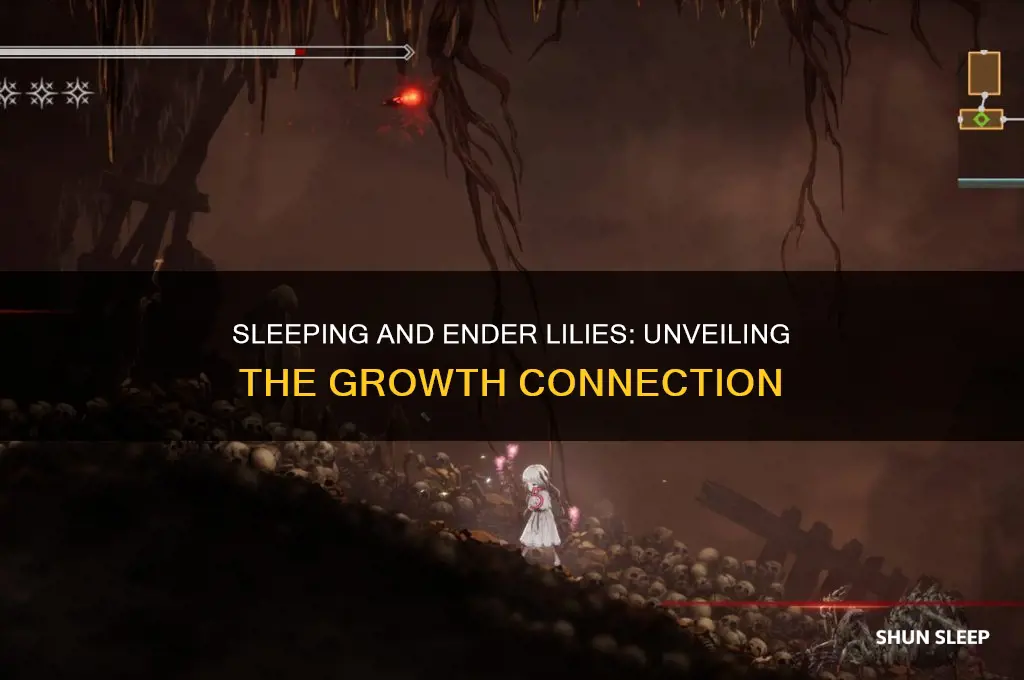 does sleeping help ender lillies grow