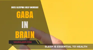 Sleep's Role in Boosting GABA: Enhancing Brain Calm and Function
