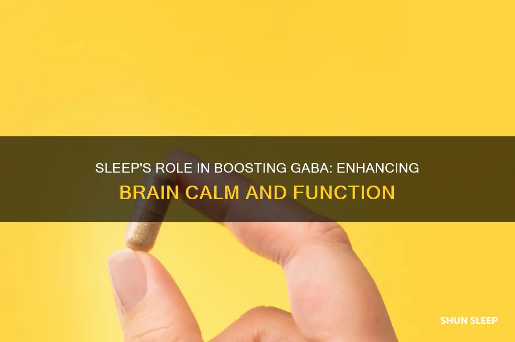 does sleeping help increase gaba in brain