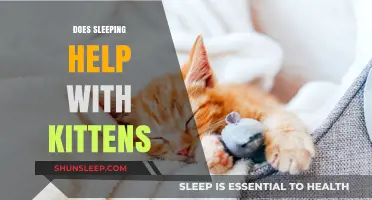 Does Sleeping Aid Kitten Growth and Development? Exploring the Benefits