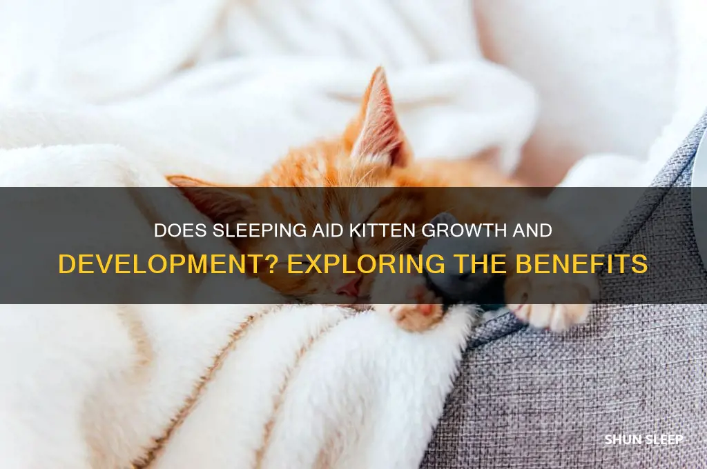 does sleeping help with kittens