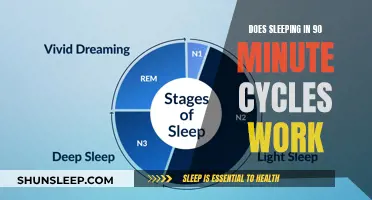 Understanding Sleep Cycles: 90-Minute Intervals for Better Rest