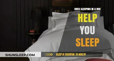 Does Your Bed Enhance Sleep Quality? Uncovering the Comfort Connection