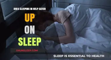 Sleeping In: Effective Catch-Up Strategy or Sleep Myth?