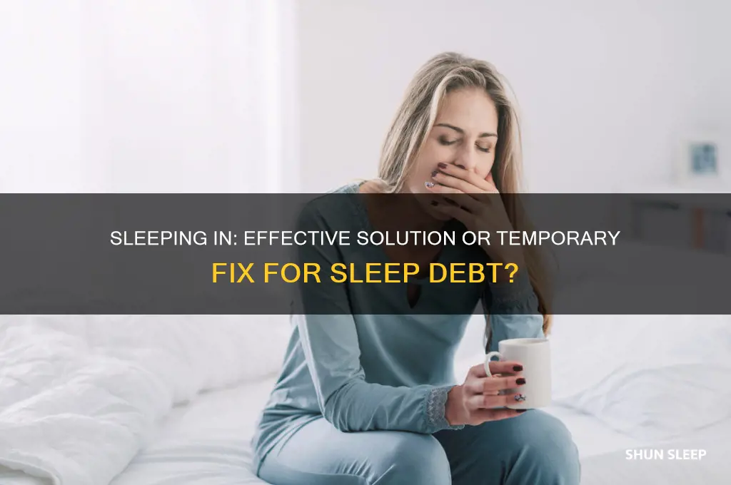 does sleeping in help sleep debt
