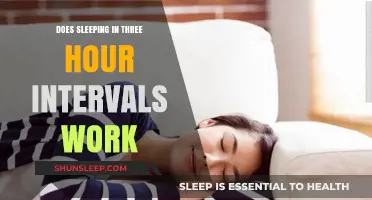 Unlocking Productivity: The Power of Polyphasic Sleep Cycles