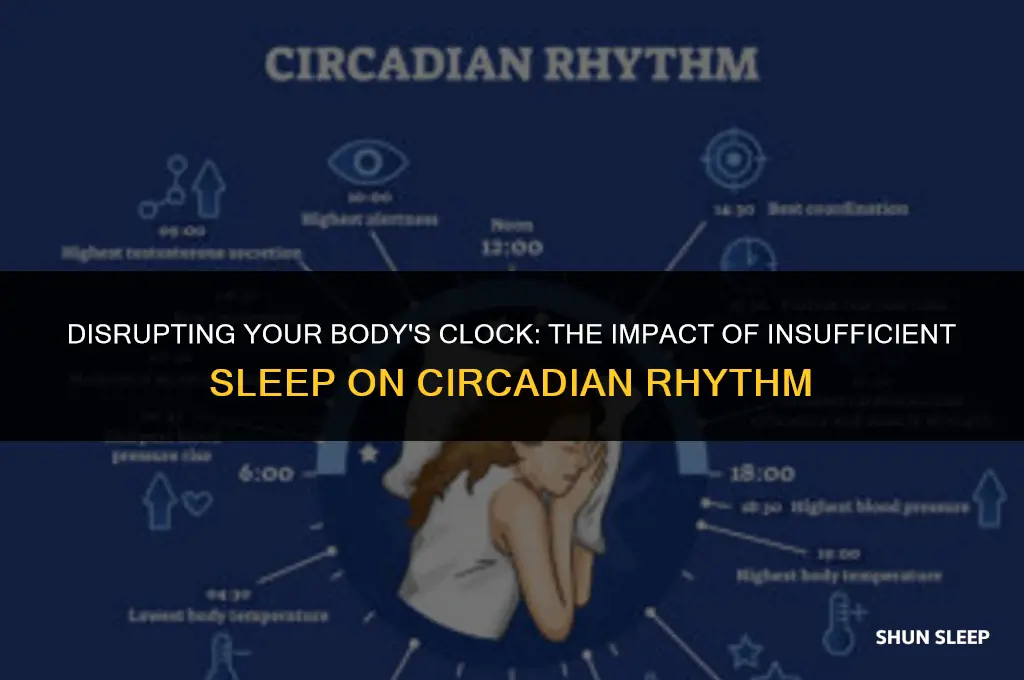 does sleeping less than 8 hours interrupts your circadian rhythm