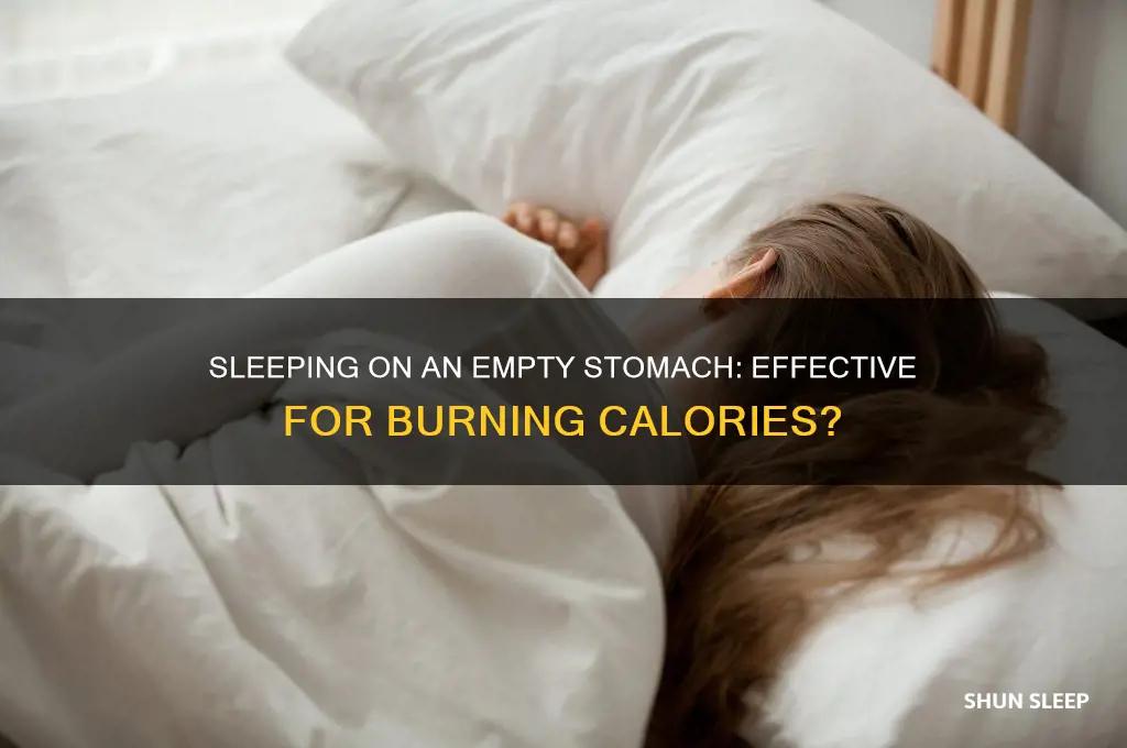 does sleeping on an empty stomach help bur calories