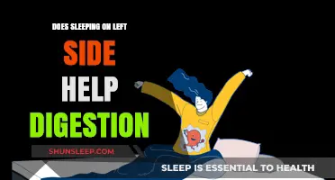 Sleeping on Your Left Side: A Digestive Aid or Myth?
