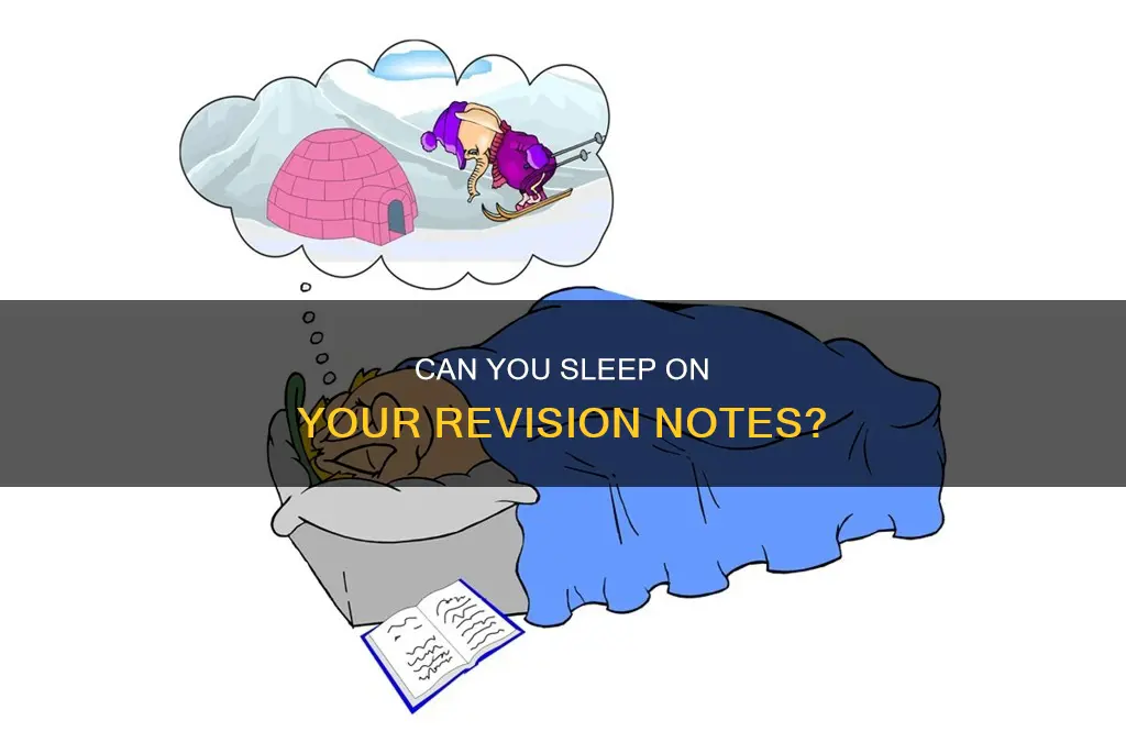 does sleeping on revision notes work