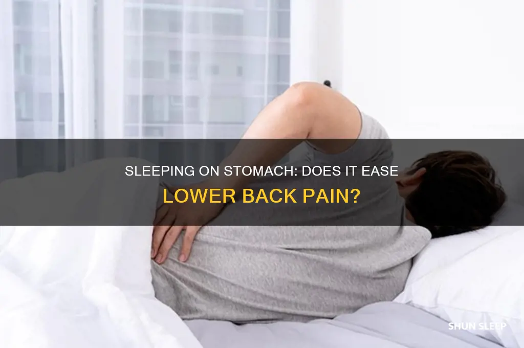 does sleeping on stomach help lower back