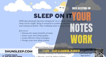 Does Sleeping on Your Notes Help Retention?