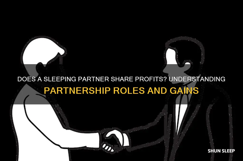 does sleeping partner get profit
