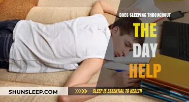 Daytime Naps: Do They Boost Productivity or Disrupt Sleep?